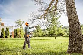  Shannon Hills, AR Tree Care Services Pros